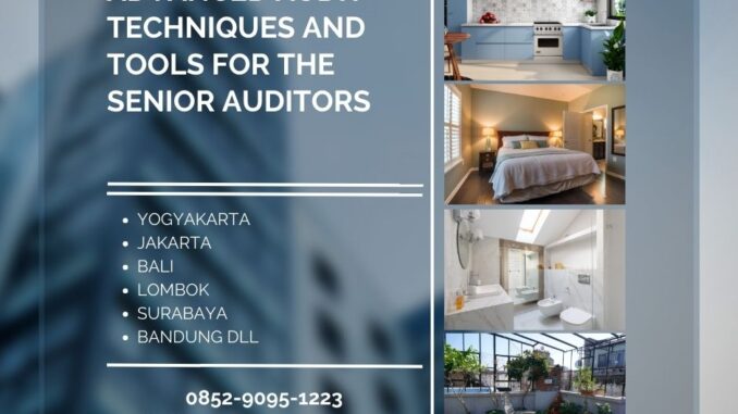 Training Advanced Audit Techniques and Tools for the Senior Auditors