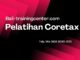 Pelatihan Coretax